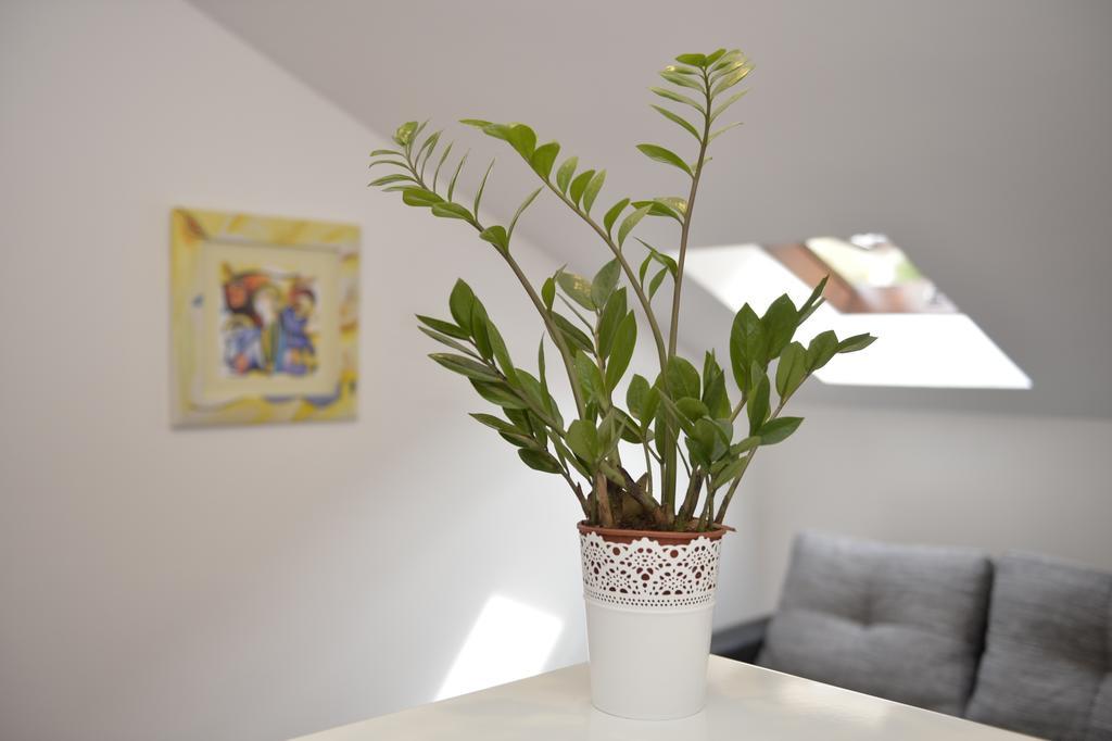 Apartment Damjan Kotor Luaran gambar